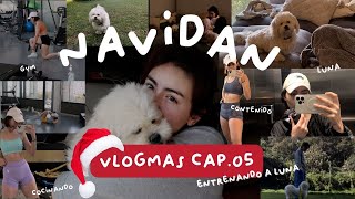 VLOGMAS | NAVIDAN CAP 0.5 | GRABANDO CONTENIDO PARA REDES | Entrenando a luna