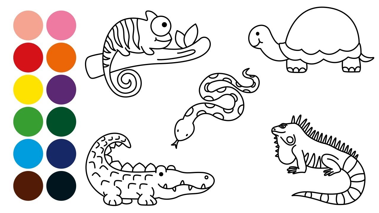 ANIMALES REPTILES dibujar y colorear para niños - Dibujar animales con  Brahms - thptnganamst.edu.vn