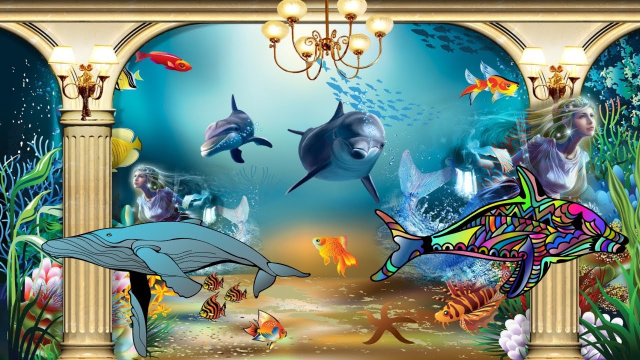 Healing Songs Of Dolphins And Whales