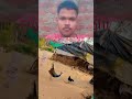 fighter se fight 👿#funny#shortvirel  #viralvideo 😈#shortsvideo