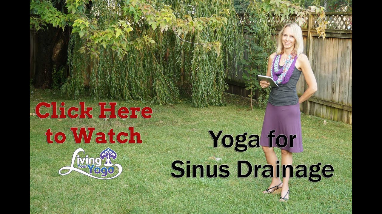 Yoga for Sinus Drainage YouTube