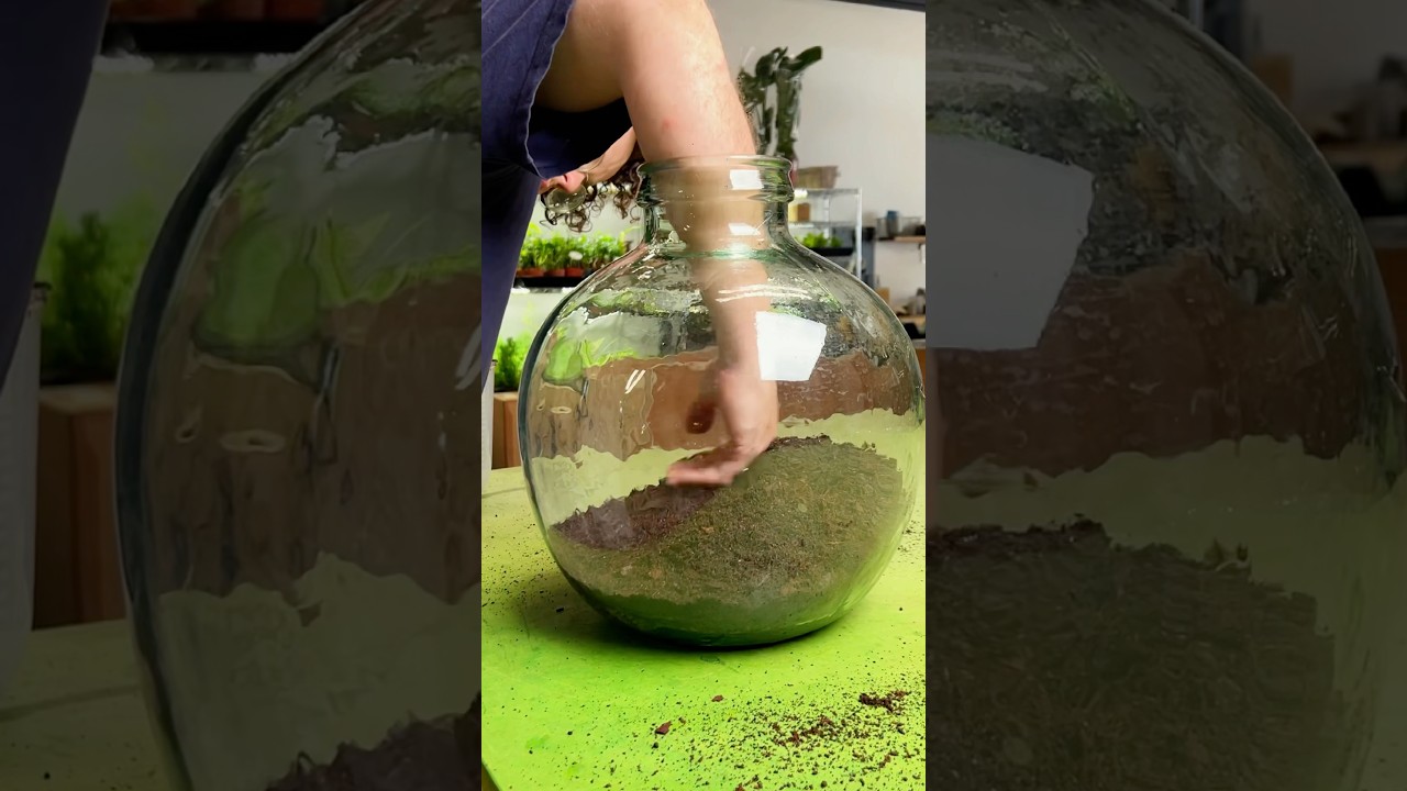 Making a living beach world