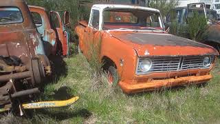 Hundreds of Classic Cars in a Field  Part 4