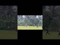 nyaris goal#shorts