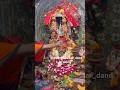 MAA BUDHI THAKURANI NKA SURA PAN #berhampur #dandanacha #thakurani #kali #maa #puja