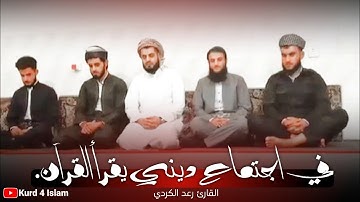 في اجتماع ديني يقرأ القرآن🥺.تلاوة خاشعة| بصوت القارئ رعد الكردي سكينة لا توصف حالات واتس اب