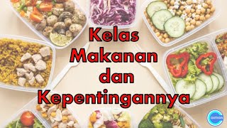 Sains Tahun 3| Manusia | Kelas Makanan dan Kepentingannya