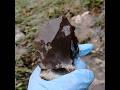 Full tang stone tool #shorts #ancientsignsoflife #artifacts #arrowheads #rocks #1m