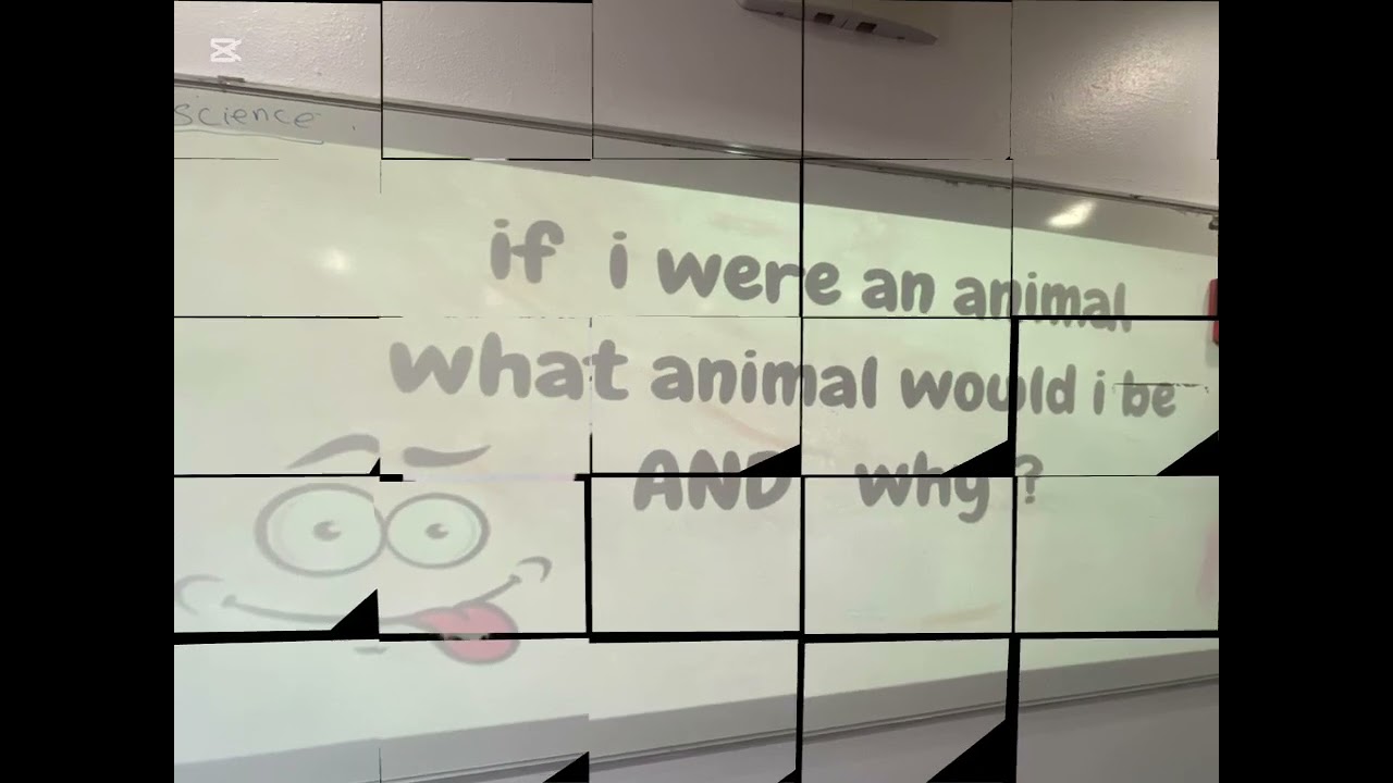 Back to School Activity | "What Do You Know About Your Teacher?" Fun Icebreaker Game