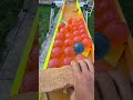 Marble Run☆Guppy's Dragon Ball Run①