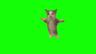 Happy Happy Happy Cat Meme (Green Screen)