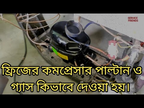 ভিডিও: একটি বিড়ালছানা আঁকার 4 টি উপায়