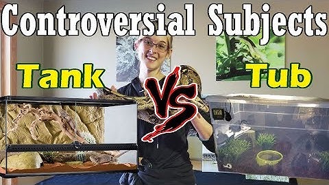 Con-Sub: Housing Snakes in Tanks vs Tubs