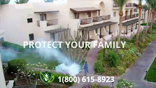 Top 3 Pest Control in Calexico