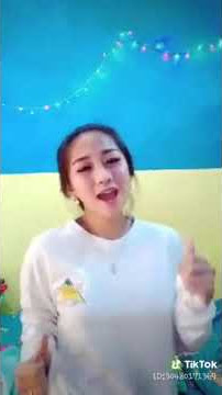 Tik tok anak brigez dj remix