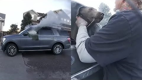 Intrappolato in un'auto in fiamme, cane viene salvato da un agente di polizia