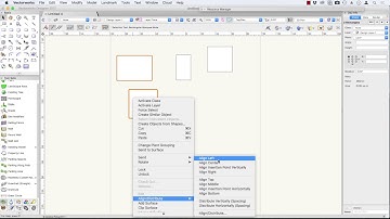 podcast 224 Align & Distribute