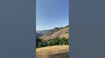 Nature’s Picnic Escape 🌿🍓 | A Perfect Day Outdoors #nature#like#mountains#video#viral#travel#usa