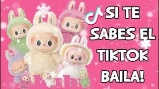 Si Te Sabes El Tiktok Baila! - 2025