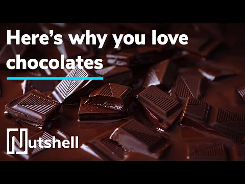 वीडियो: हमें चॉकलेट क्यों पसंद है?