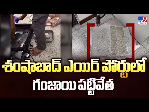 Hydroponic Ganja Seized at Shamshabad Airport  : శంషాబాద్ ఎయిర్ పోర్టులో గంజాయి పట్టివేత - TV9 - TV9