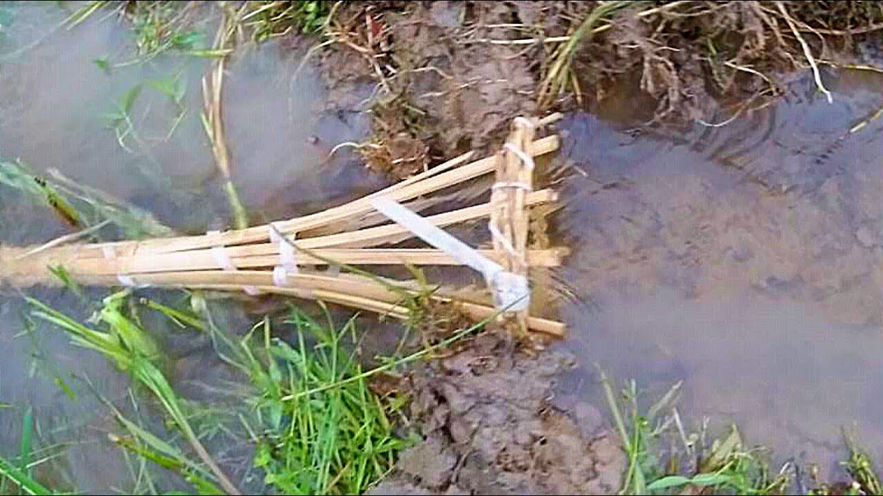 Creative boy make fish trap using bamboo box in rainy season-Fast ...
