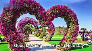 Assamese song, good morning