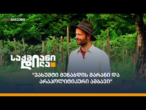 #საქმიანები: \"ვახუშტი მენაბდის მარანი და არაპოლიტიკური ამბავი\"