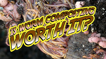 Is WORM COMPOSTING WORTH IT? Three Year Review.