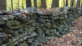 Conversation with a Stone Wall - Spencer Lewis