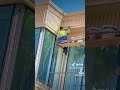 ديكورات فلين واجهات منازل في اربيل 07503290913