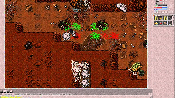 Tibia 2014 BUG Tarantulas PH