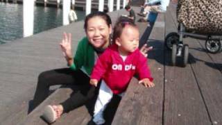 millie comp_0001.wmv