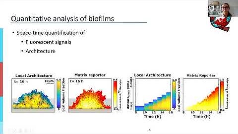Hannah Jeckel - BiofilmQ, a software tool for quantitative image analysis of microbial