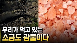 우리 몸속에도 광물이 있다? / 별별실험실