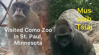 Toured Como Zoo in St. Paul, Minnesota.