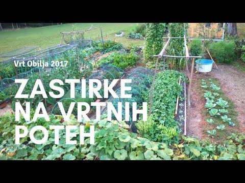 Video: Junijska vrtna opravila – negovanje vrtov na zahodni obali