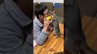 Are We Being PUNKED??  🐶😹