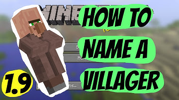 Minecraft How to name a Villager | 1.9 No Mod