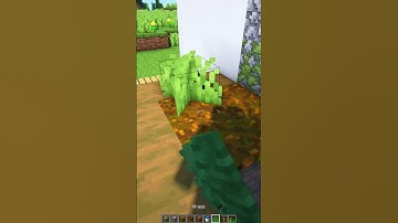 Realistic Frog House in Minecraft! #minecraft #shorts 🐸