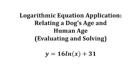 Determine the Human Age of a Dog And the Dog Age, Given the Human Age