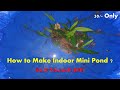 DO IT YOURSELF (DIY) - Cheap Indoor Mini Pond