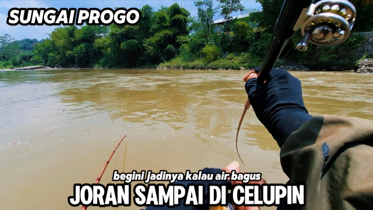 SUNGAI PROGO AIR MOLAI BAGUS IKAN RAKUS ‼️ JORAN SAMPE NYELUP NYELUP❗️
