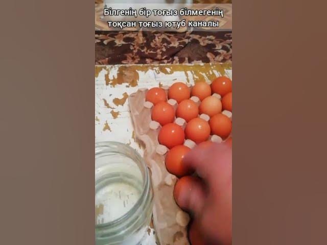 Қыз өзінің кискасын көрсетеді