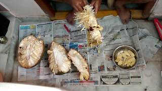 How to cut Jackfruit