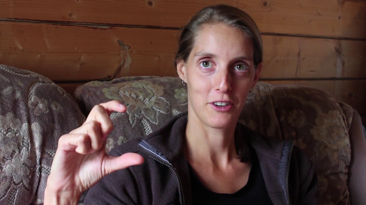 Free from sun allergy, pains, fatigue, brain fog, unstable blood sugar, menstruation pains