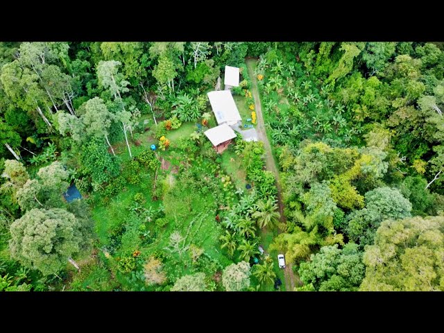 Theory Becomes Reality: From Abandoned Cow Pasture To Thriving Permaculture Farm & Education Model class=