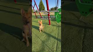 NOT the sd community “rules”.. #dogcommunity #servicedog #sdit #servicedoghandler #dogtraining