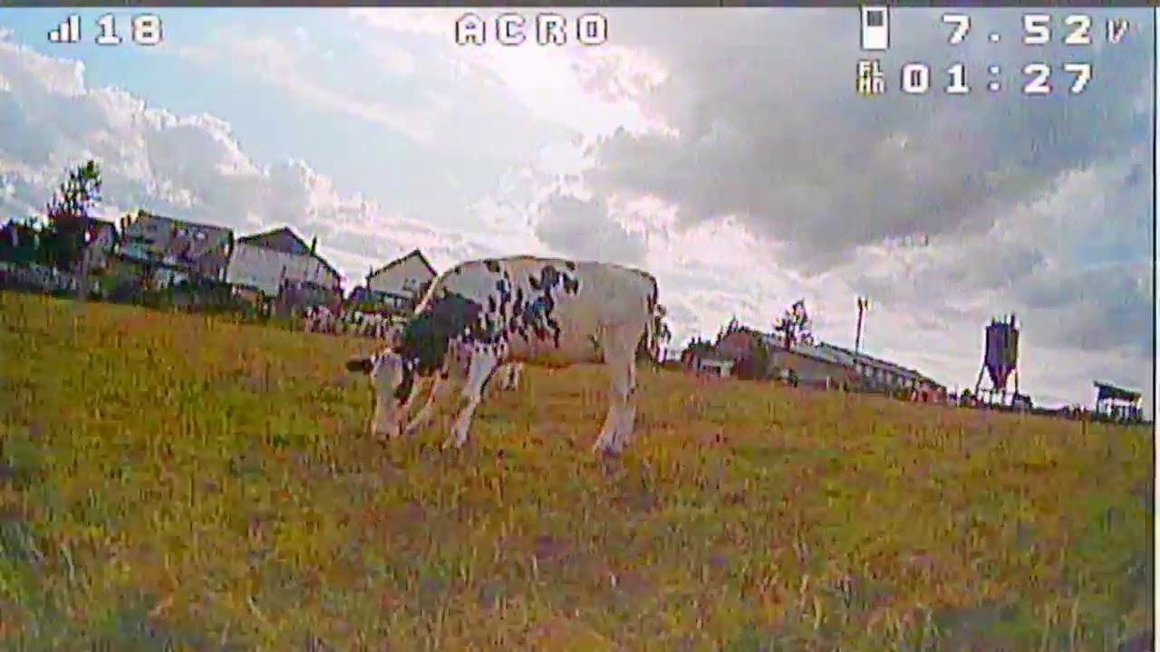 FPV flying - Cow gates! (Eachine Trashcan)