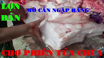 Chợ phiên Tủa Chùa - Điện Biên có gì đặc biệt (Khám phá Chợ phiên Tủa Chùa)